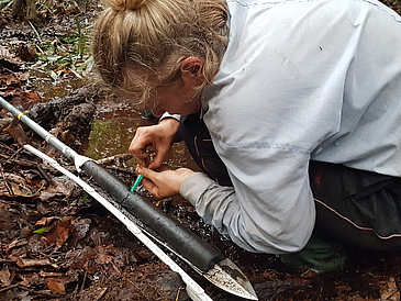 Dr. Johanna Menges (MARUM, Bremen) beim Beproben eines Torfkerns aus der Cuvette Congolaise während der Expedition im Frühjahr 2022.