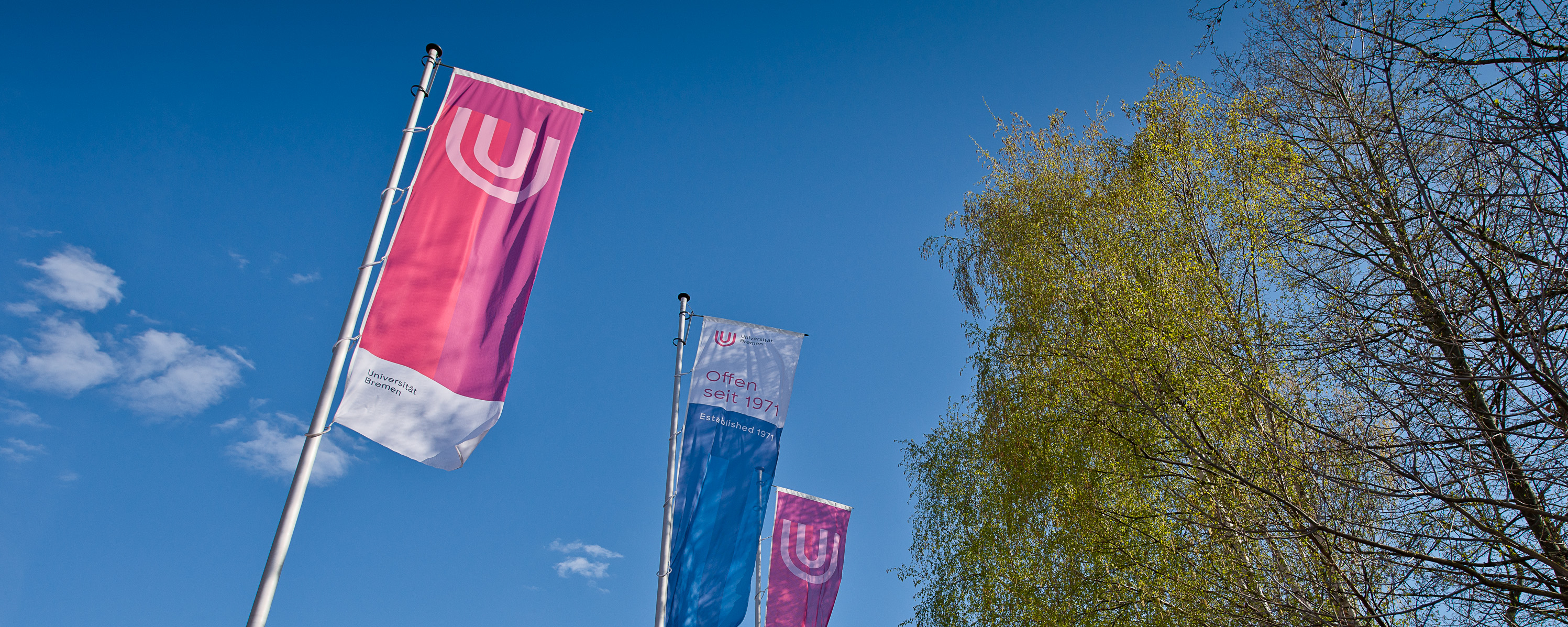 Flaggen der Universität Bremen